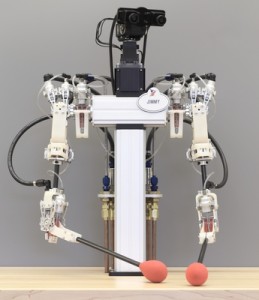 A Hybrid Hydrostatic Transmission and Human Safe Haptic Telepresence Robot