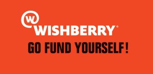 crowdfunding websites india wishberry