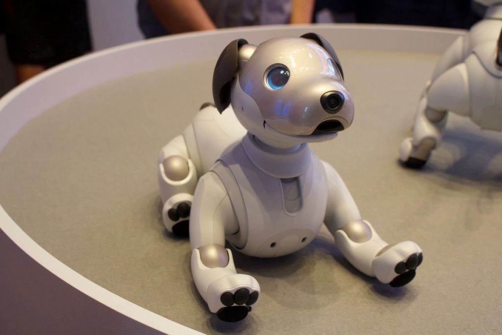 futurama robot puppy