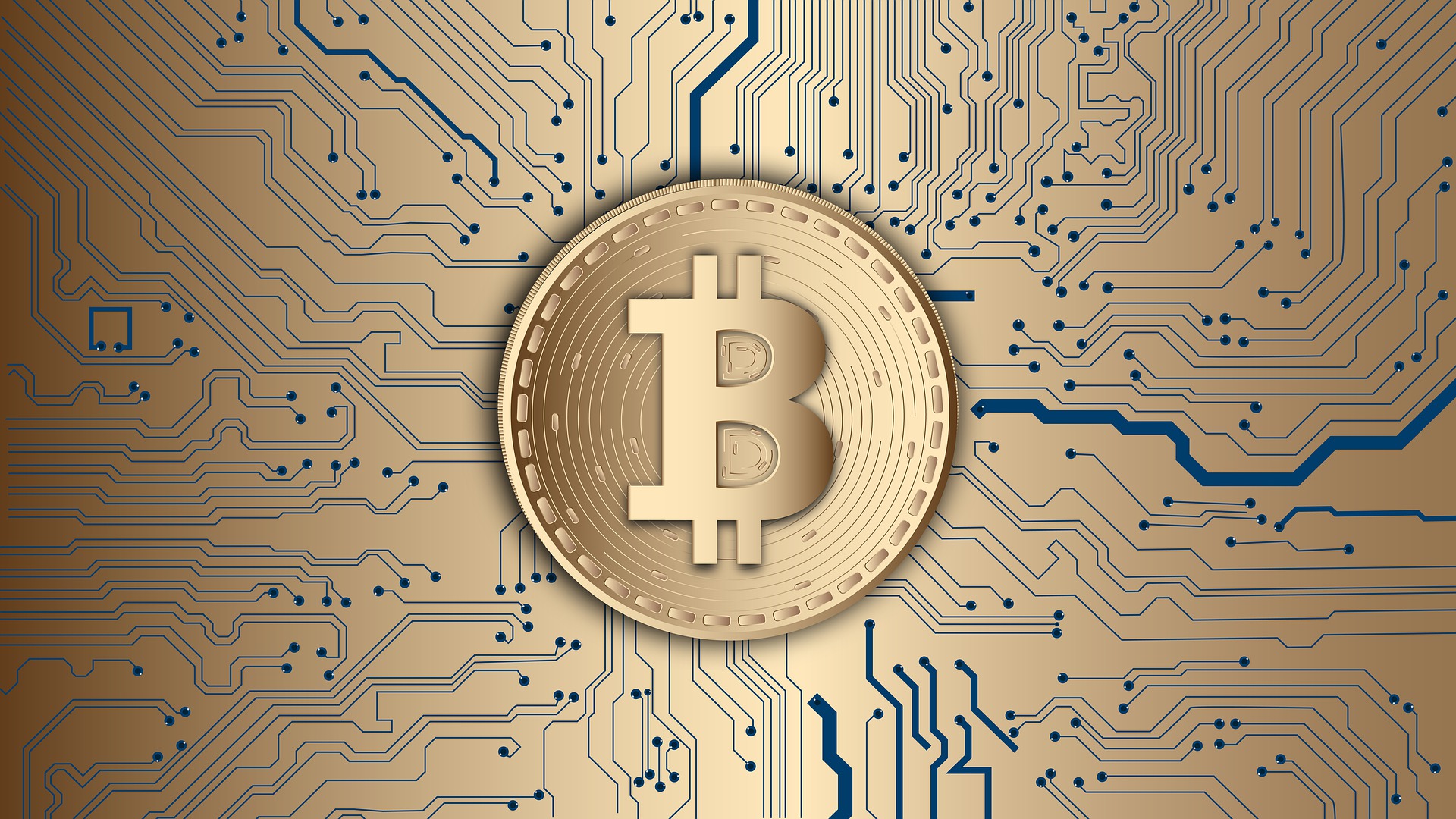 Interesting Facts About Bitcoin - TechStory