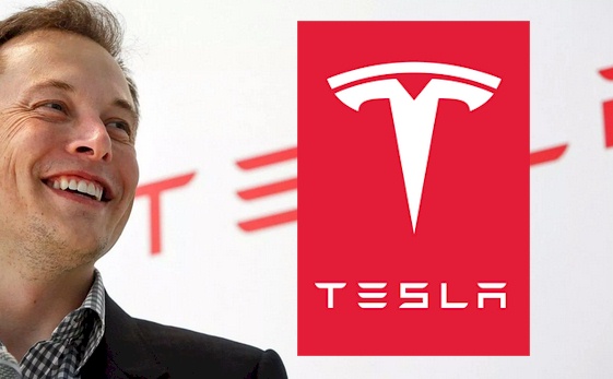 Elon Musk top investments, Tesla, SpaceX and? - TechStory