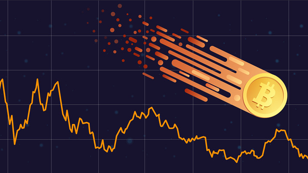 bitcoin price falls