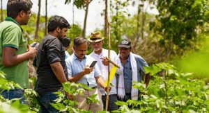 Artificial Intelligence in farming