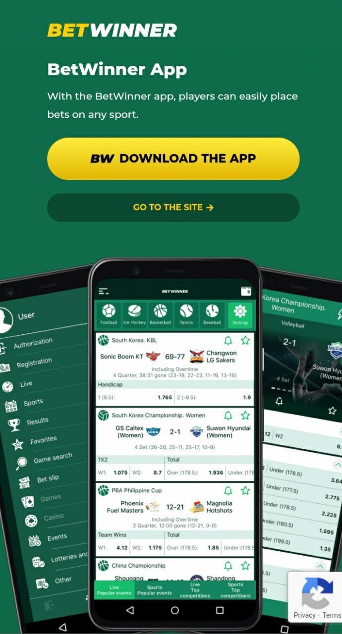 betwinner apk android