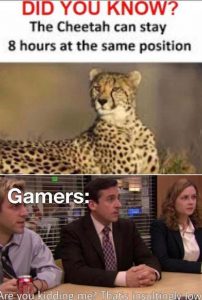 Gaming memes