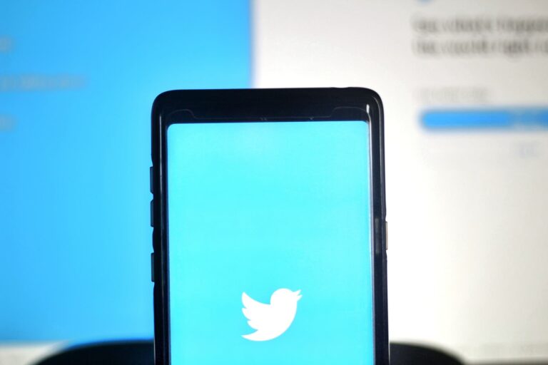Twitter logo on a smartphone