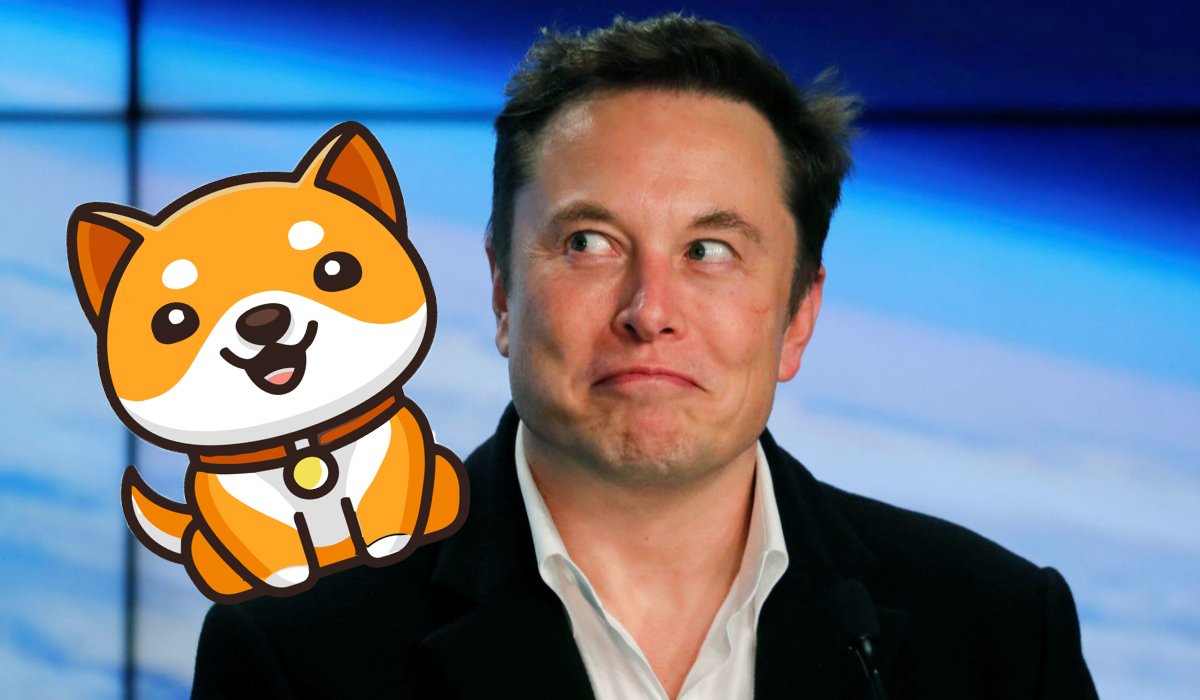 Elon Musk Plans To Become The World’s First Dogecoin Trillionaire ...