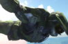 Halo Infinite's Open World Campaign