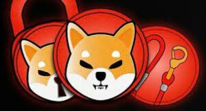 Shiba Inu rises 50% to become the 11th most valuable cryptocurrency coin