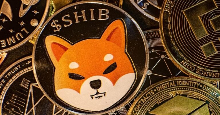 Shiba Inu