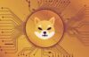 About $15 billion leaves the SHIB market cap as hype fades