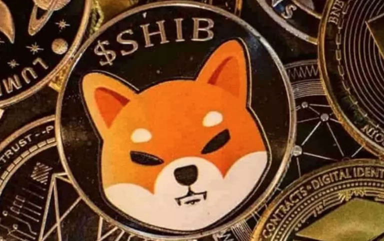 The investors' demands to burn Shiba Inu coins continues