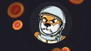 Shiba Inu was the most viewed cryptocurrency of 2021.