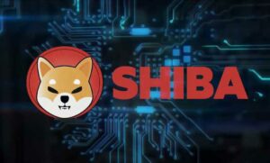  The investors' demands to burn Shiba Inu coins continues