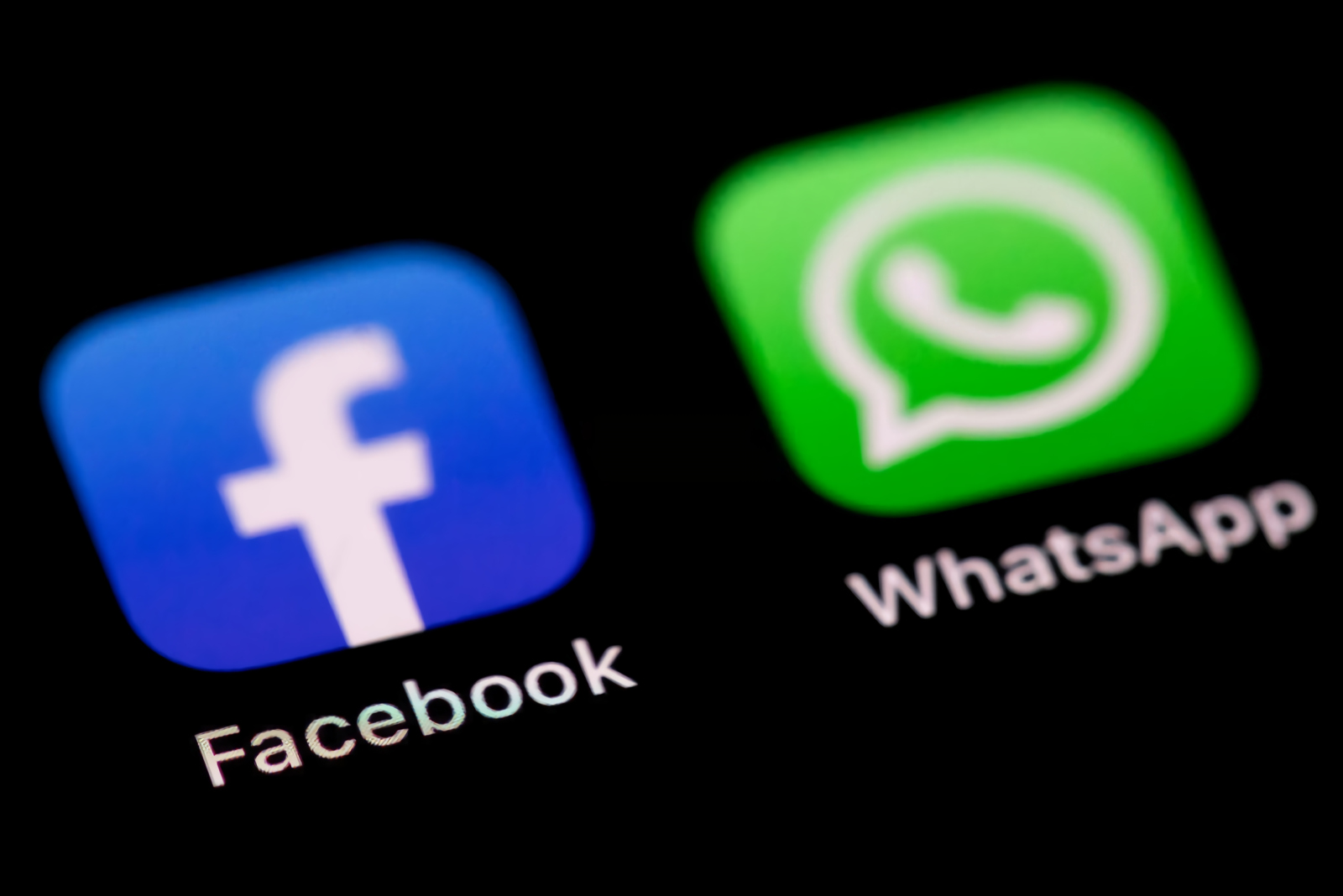 delhi-hc-rejects-facebook-s-plea-challenging-cci-s-probe-into-whatsapp