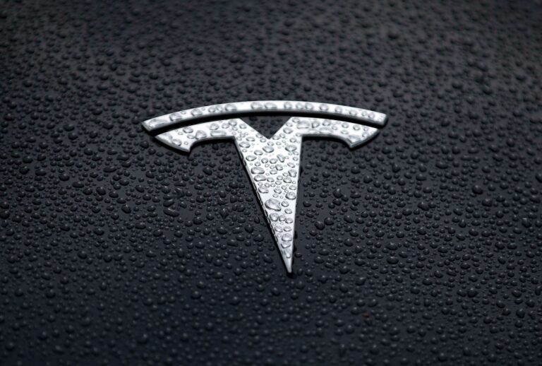 Tesla logo is displayed on the hood of a Tesla car