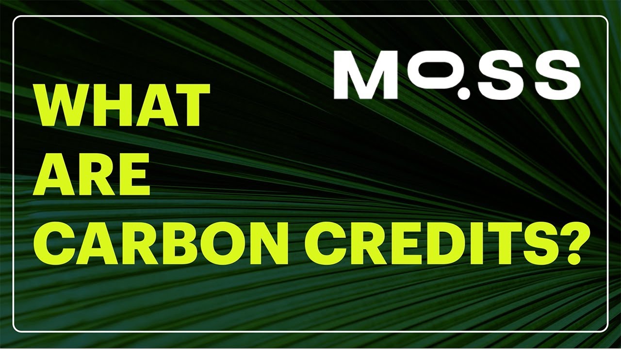 moss carbon credit price