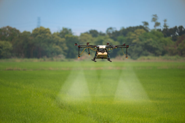 Agriculture drone fly to sprayed fertilizer on the rice fields