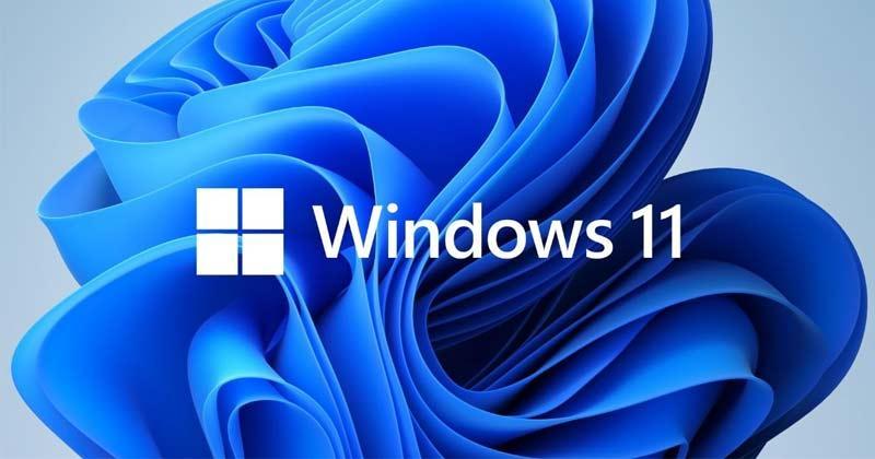 Windows 11 launches October 5th, but will you upgrade? | Rock Paper Shotgun