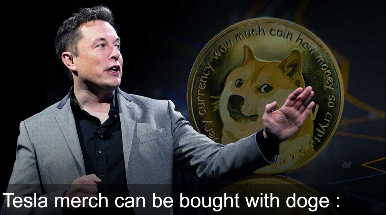 Elon Musk and Dodge Coin