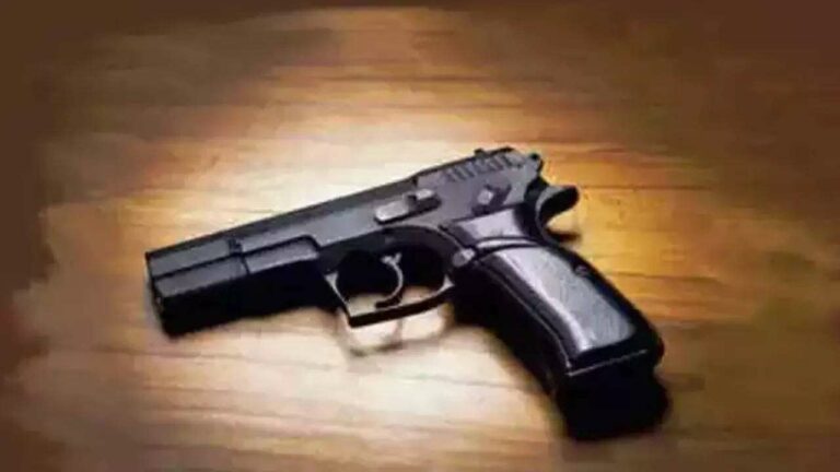 Image depicting a regular pistol