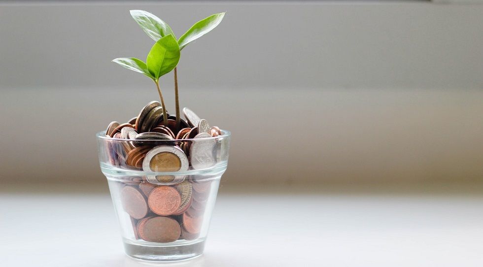 Image depicting coin kept inside a plant pot