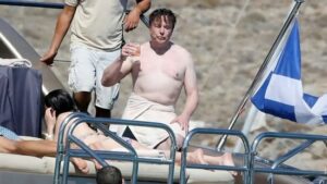 Elon Musk's shirtless vacation picture