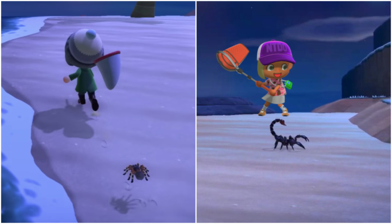 Animal Crossing