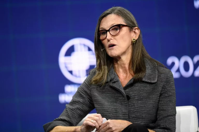Ark Invest CEO Catherine Wood speaks at the Milken Institute Global Conference on October 18, 2021 in Beverly HIlls, California. (Photo by Patrick T. FALLON / AFP)