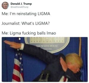 Ligma balls