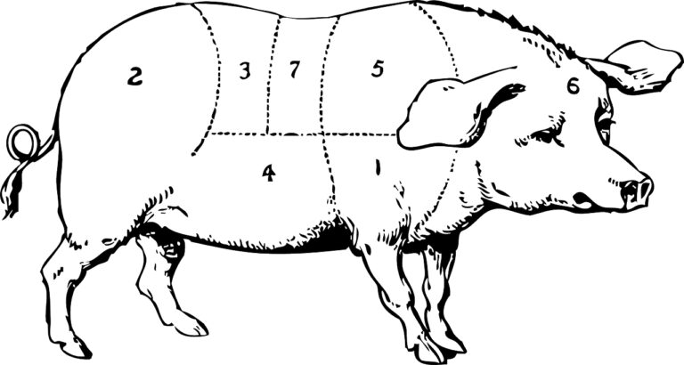 Pig Butchering Scam: All you need to know!