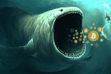 Largest NFT Dump ever: Whale sold 1010 NFTs in 2 days