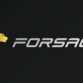 Forsage founders have been accused of operating a Ponzi scheme 