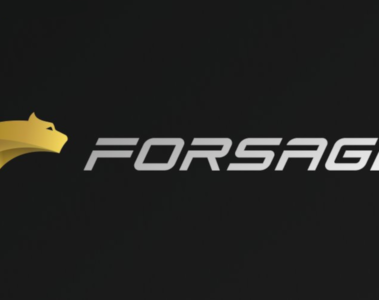Forsage founders have been accused of operating a Ponzi scheme 