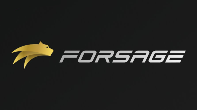 Forsage founders have been accused of operating a Ponzi scheme 