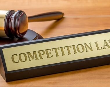Indian Government Investigates Big Tech Companies for Alleged Anti-Competitive Practices