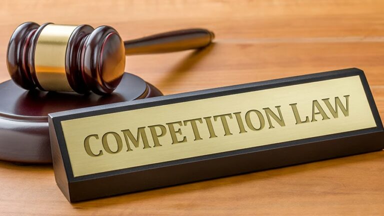 Indian Government Investigates Big Tech Companies for Alleged Anti-Competitive Practices