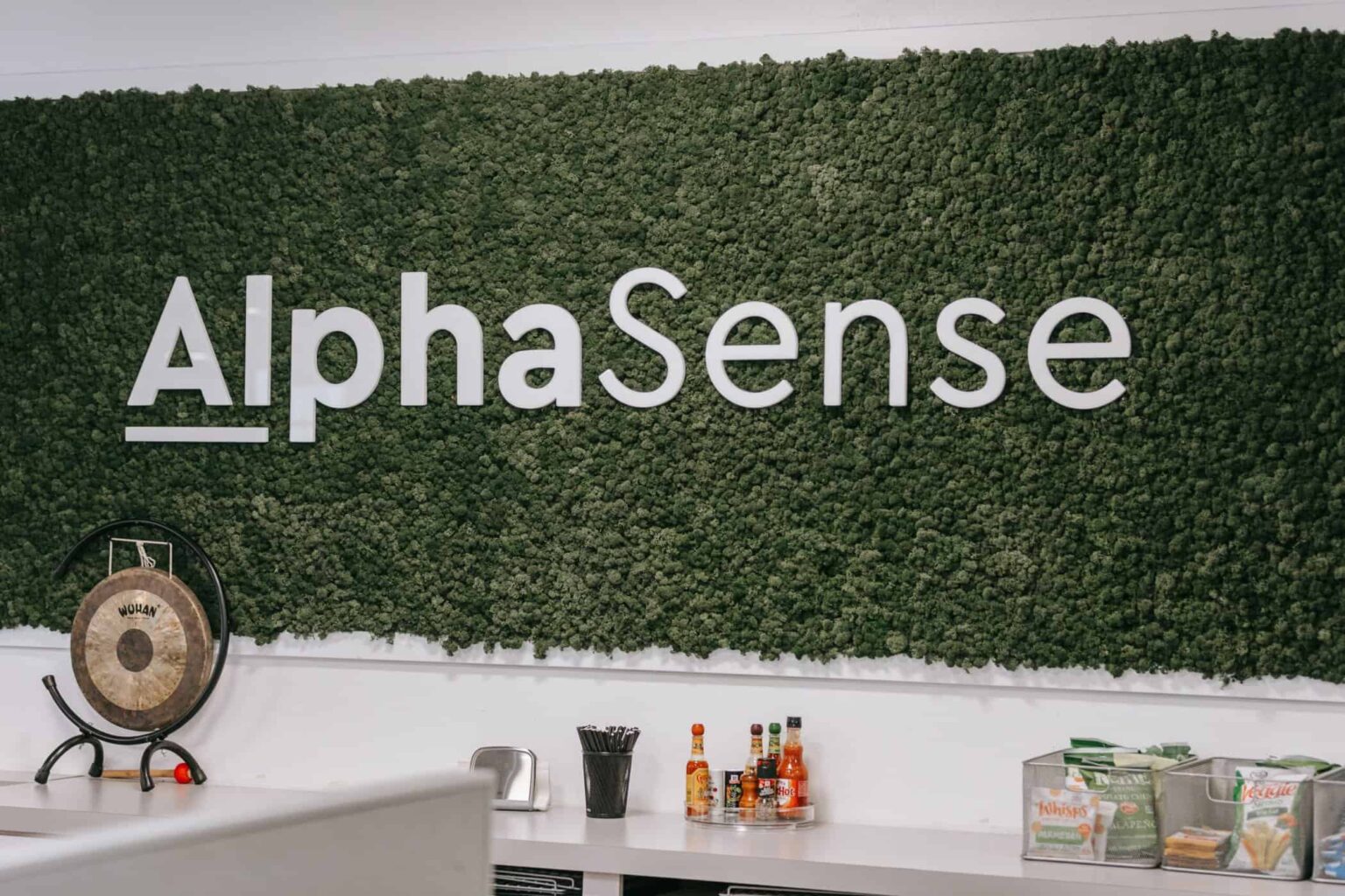 AlphaSense is now valued at $1.8 bln, fundraising backed by CapitalG ...