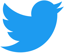 Twitter Elon Musk