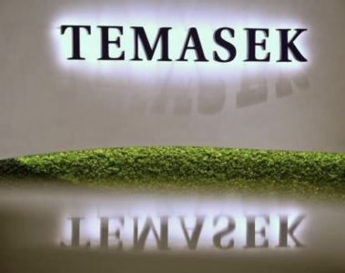 Temasek cuts compensation