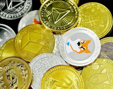 Robinhood Cardano Polygon Solana