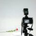 How Photographers Are Using AI to Enhance Their Careers