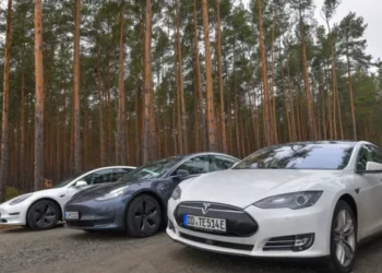 Tesla electric vehicles stand on a road on the edge of a forest where the construction of a Tesla factory is planned.