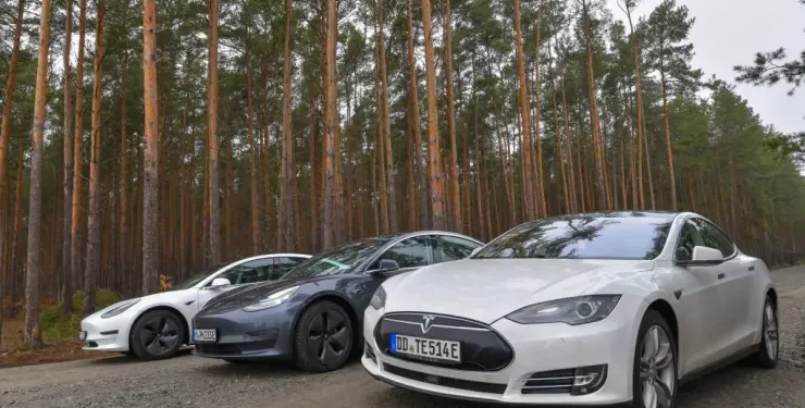 Tesla electric vehicles stand on a road on the edge of a forest where the construction of a Tesla factory is planned.