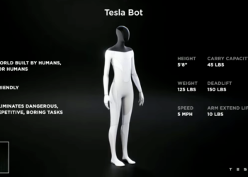 Tesla Bot
