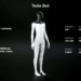 Tesla Bot