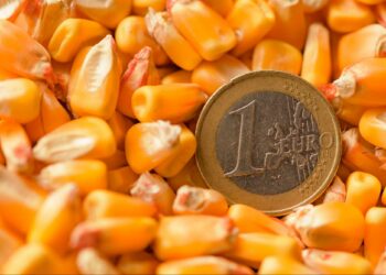 Commodity Currencies in Forex Trading: Understanding Relationships