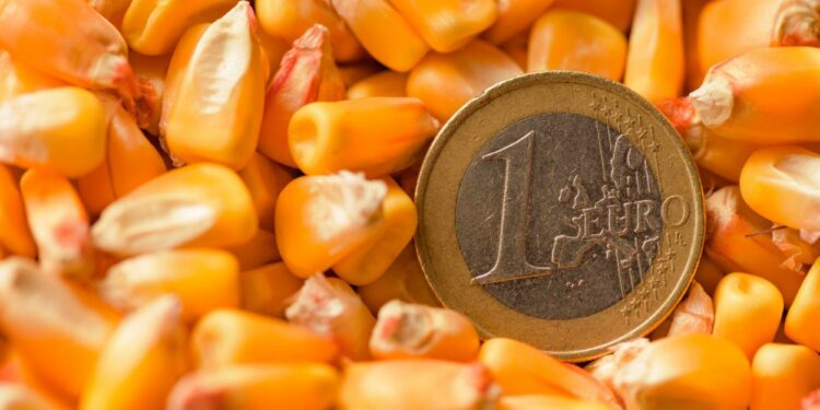 Commodity Currencies in Forex Trading: Understanding Relationships
