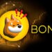 Bonk Coin: Unraveling the Cryptocurrency Phenomenon