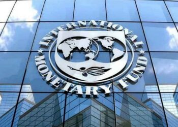 Analyzing the Impact of Artificial Intelligence: Insights from the IMF